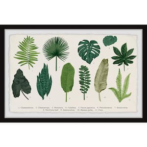 "Calathea" by Marmont Hill Framed Nature Art Print 30 in. x 45 in.