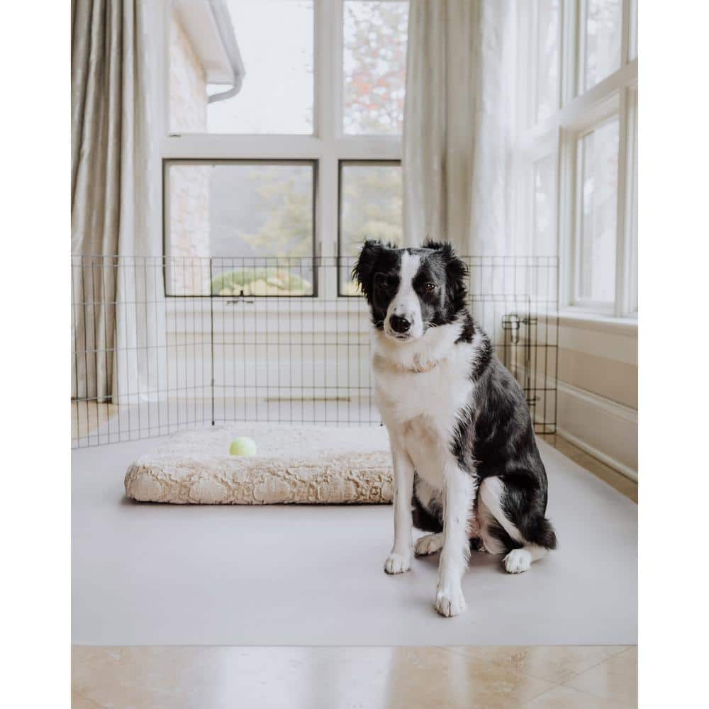 Clear 5' x 10' Vinyl Pet Floor Protector Mat