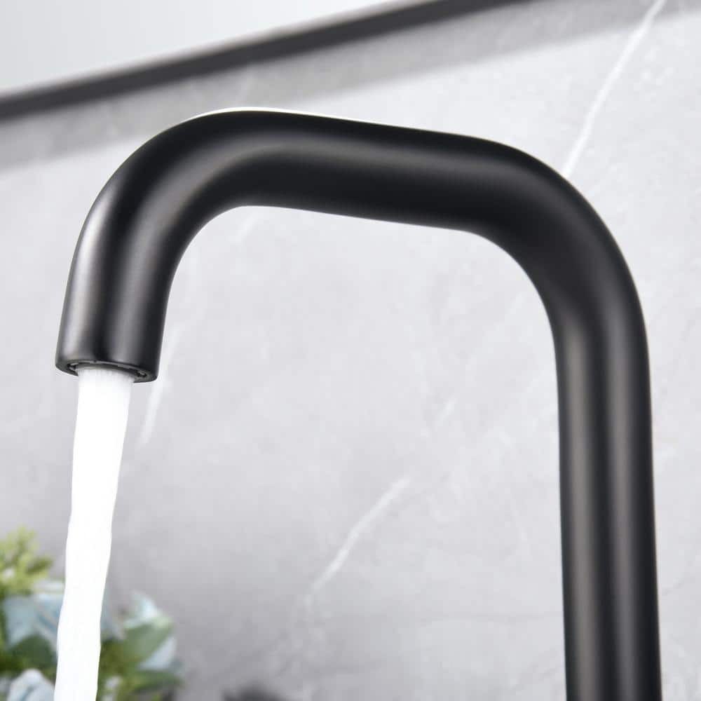 Matte Black Single-Handle Bathroom Faucet with Drain Assembly