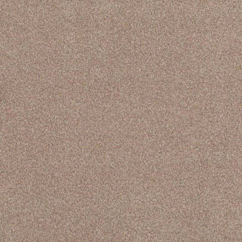 8 in. x 8 in. Texture Carpet Sample - Urban Artifact II - Color Adobe price history on PriceWatchPro