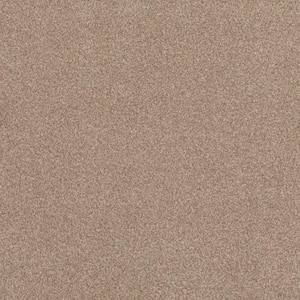 8 in. x 8 in. Texture Carpet Sample - Urban Artifact II - Color Adobe