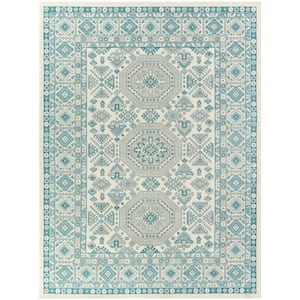 Amit Teal 2 ft. x 7 ft. Indoor/Outdoor Runner Rug