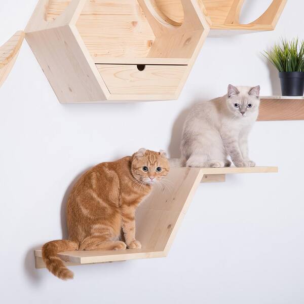 Cat Ramps On Walls