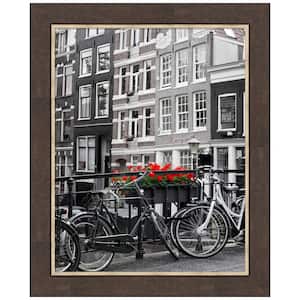 Lined Bronze Picture Frame Opening Size 22 x 28 in.