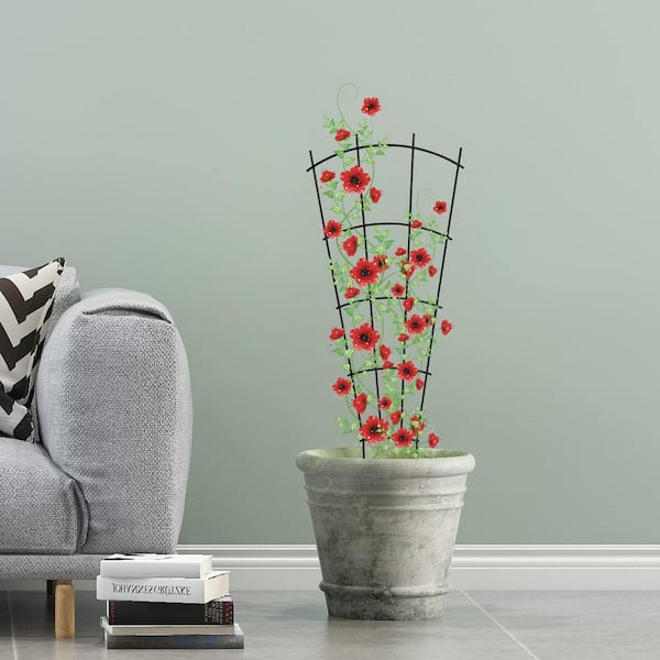 low light hanging plants indoor Pothos N'joy Live Houseplant