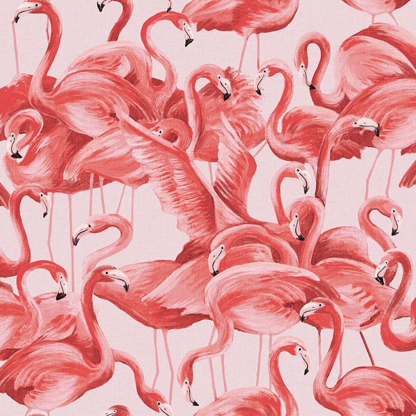 Tempaper Flamingo Cheeky Pink Peel and Stick Wallpaper Sample
