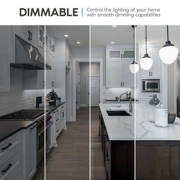 100-Watt Equivalent A19 Dimmable LED Light Bulb Enclosed Fixture Rated 5000K Bright White (6-Pack)
