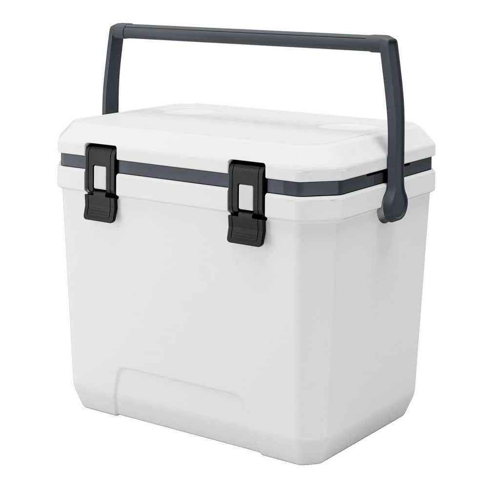 38 qt. Insulated Portable Chest Cooler with Handle for Picnics