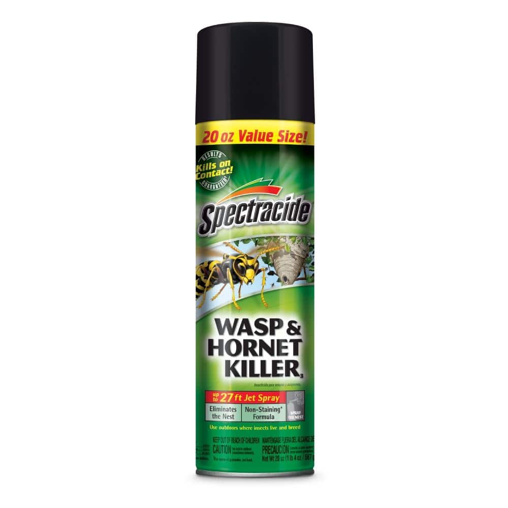 Spectracide 20 oz. Wasp and Hornet Aerosol Spray Killer HG-95715-3 - The  Home Depot