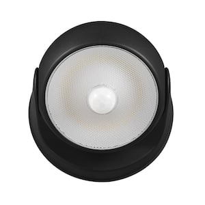 160° 3-Watt Equivalent Black 250 Lumens Battery Operated Outdoor Integrated LED Orb Area Light Security Light