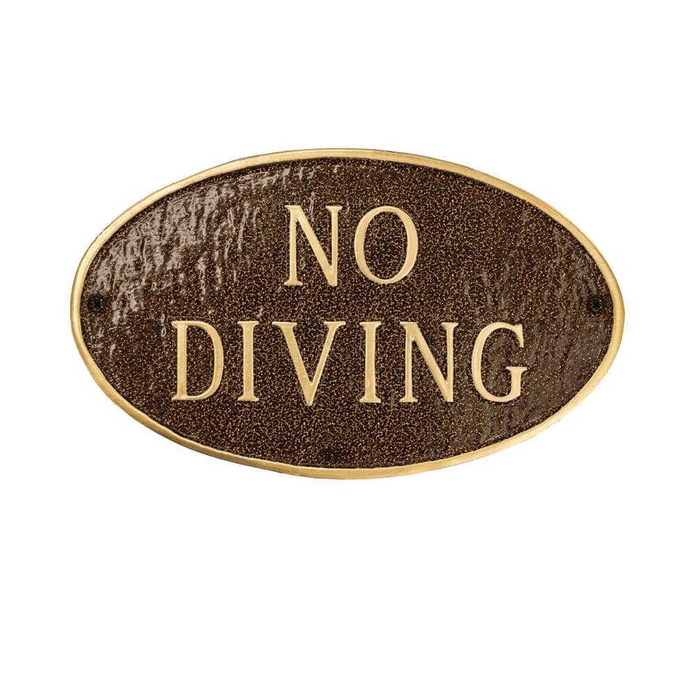 No Diving Standard Oval Statement Plaque - Hammered Bronze price history on PriceWatchPro