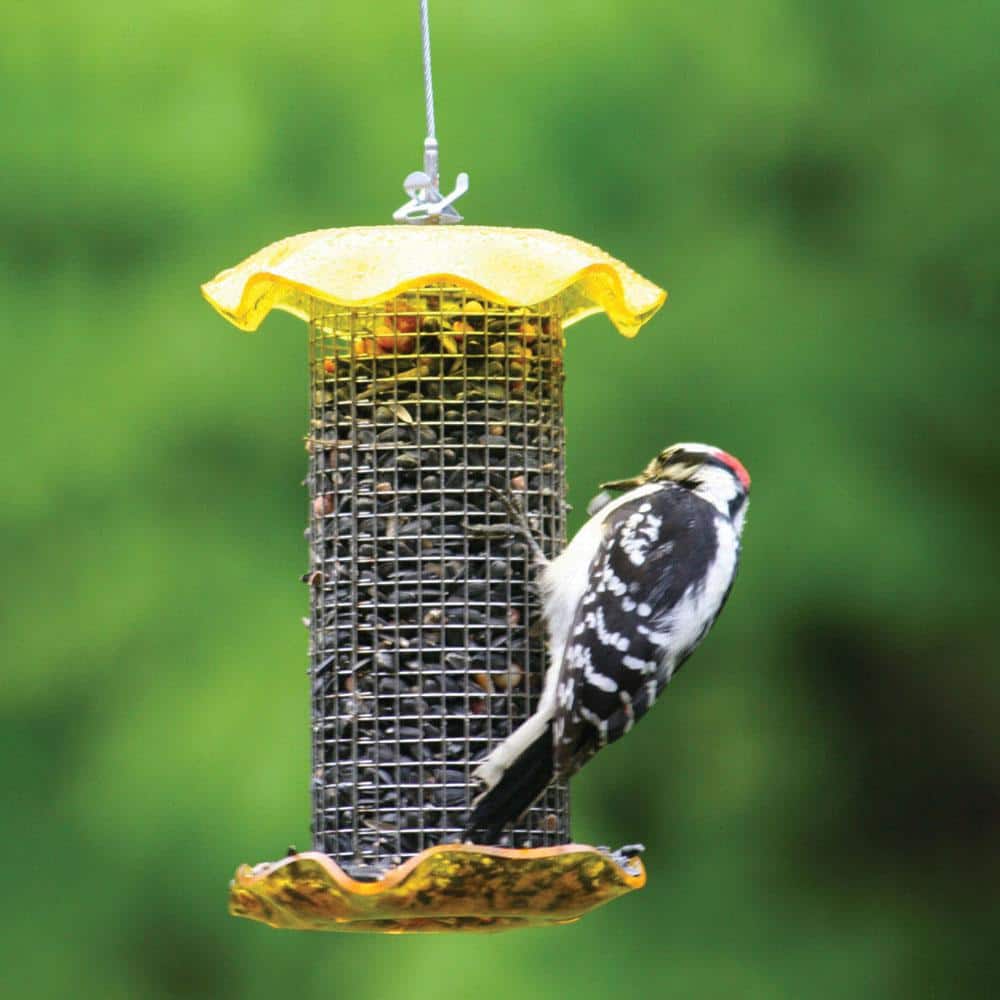 Yellow Hanging Stainless Steel and Acrylic Bird Feeder