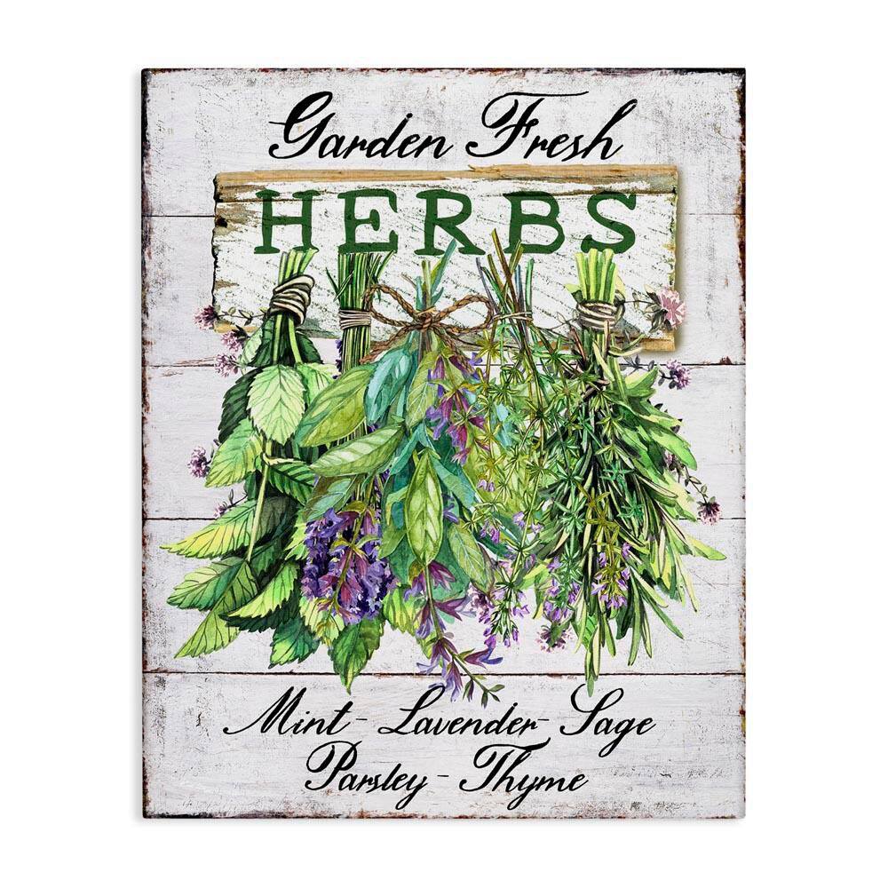 Garden Fresh Herbs by Creatif Belle Unframed Food Graphic Art Print 20 in. x 16 in. price history on PriceWatchPro