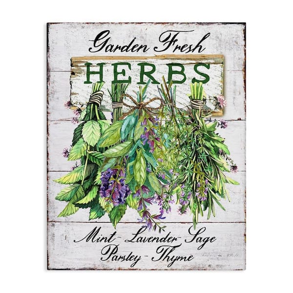 Stupell Industries Garden Fresh Herbs by Creatif Belle Unframed Food Graphic Art Print 40 in. x 30 in.
