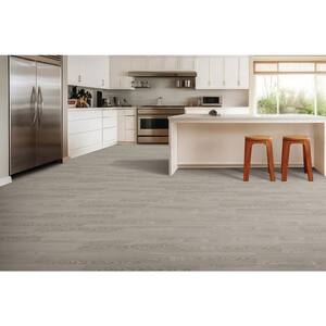 Take Home Sample - Basics Riparian Ranch Glue down Waterproof Luxury Vinyl Plank Flooring