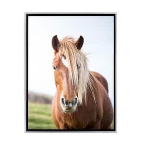 Wild Horse Framed Canvas Wall Art - 16 in. x 24 in. Size, by Kelly Merkur 1-pc Champagne Frame