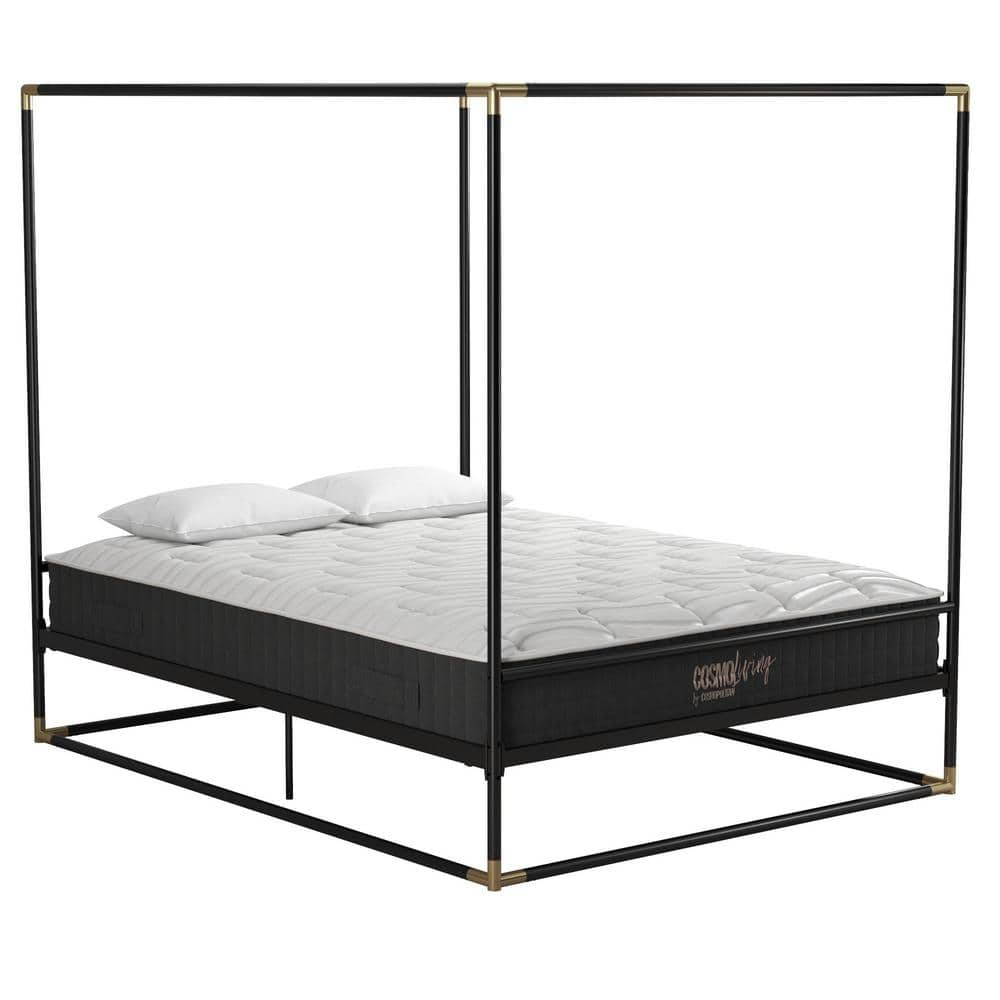 CosmoLiving By Cosmopolitan Celeste Black/Gold Canopy Metal Queen Size ...