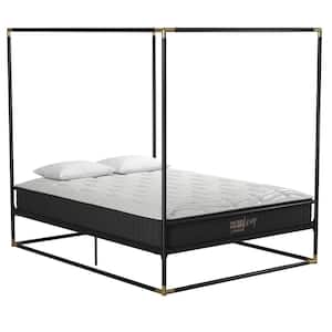 Celeste Black/Gold Canopy Metal Queen Size Bed Frame