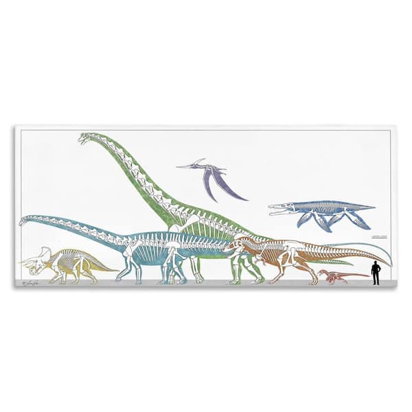 Educational Prehistoric Skeletons by Lauren Rader Unframed Animal Graphic Art Print 10 in. x 24 in.