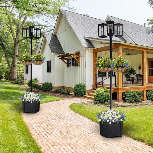 C Cattleya 3-Lights Black Stainless Steel Dusk to Dawn Solar