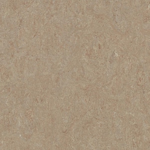 Cinch Loc Seal Weathered Sand 9.8 mm T x 11.81 in. W x 35.43 in. L Laminate Flooring (20.34 sq. ft./case)