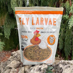 30 Oz Poultry Protein-Rich Snack from Dried Black Soldier Fly Larvae 100% Natural - No Additives or Preservatives (3-Pk)