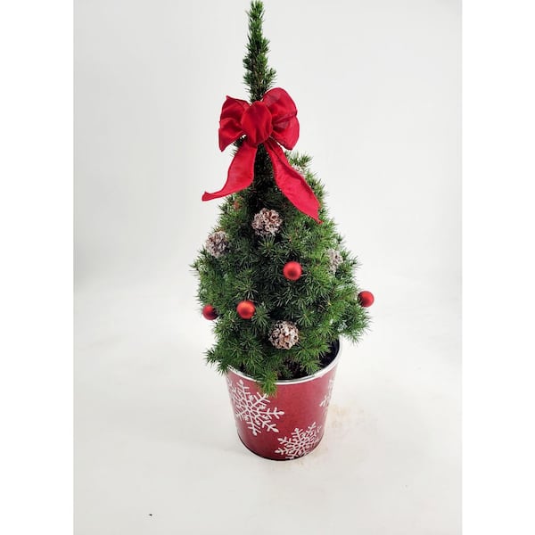 HOLIDAY COMFORT CHRISTMAS TREE 2 GALLON BEVERAGE DISPENSER