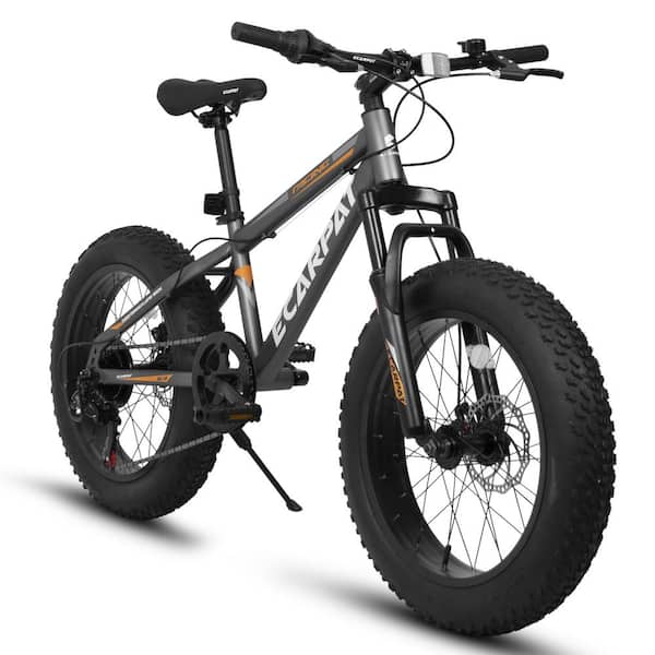20 Inch Fat Tire Full 7 Speed Mountain Bike with Dual DiscBrake 