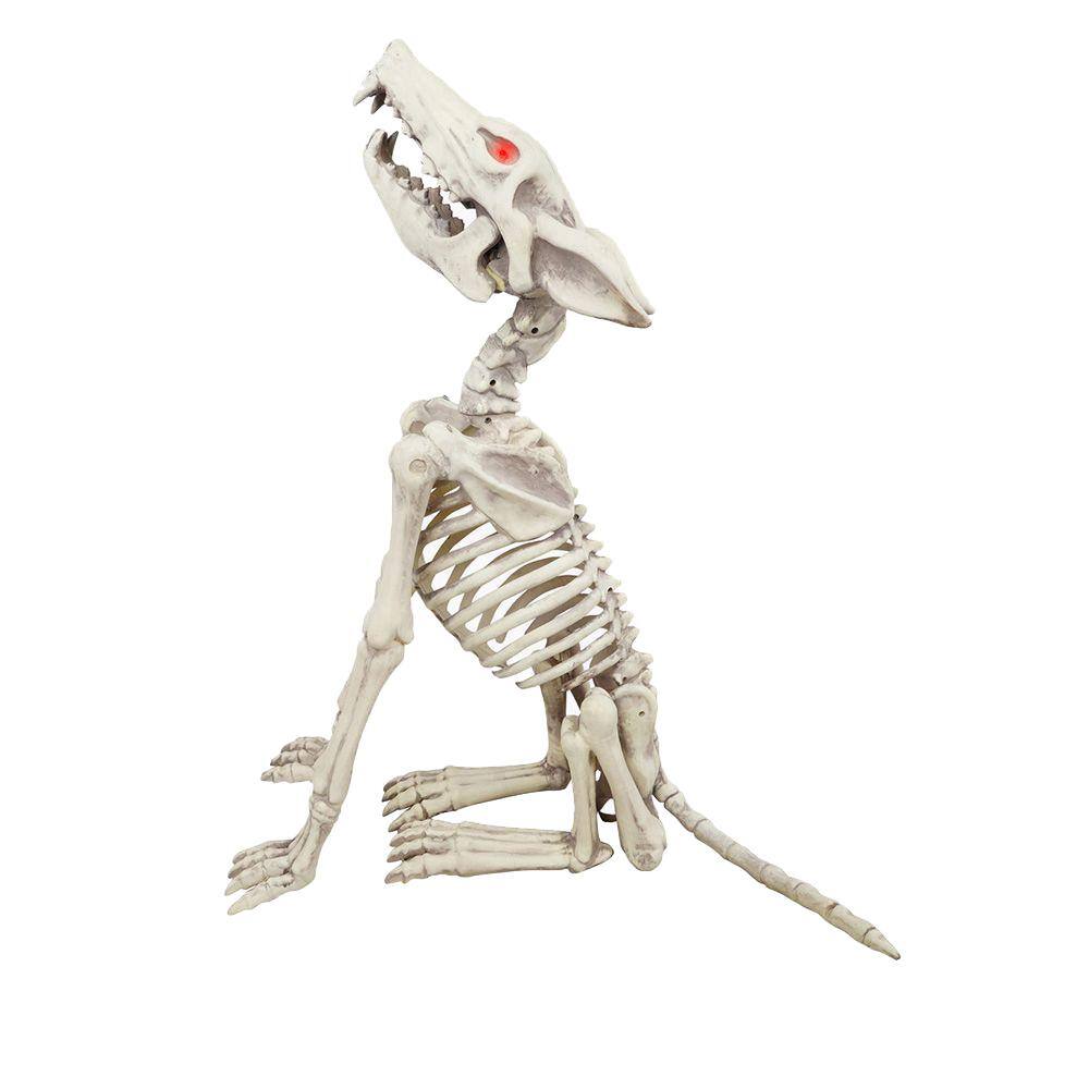 Reviews for Home Accents Holiday 2.5 ft Animated LED Howling Skeleton