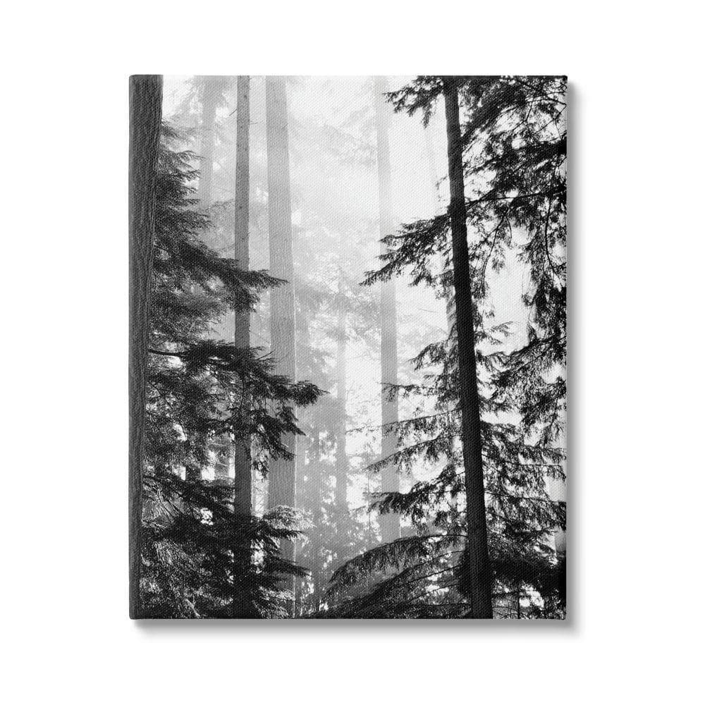Forest Light Black and White Canvas Landscape Print
