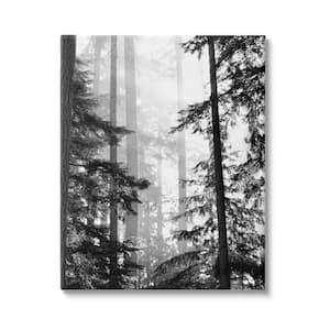 Forest Light Shining Trees Landscape Photography By Gail Peck Unframed Print Nature Wall Art 30 in. x 40 in.