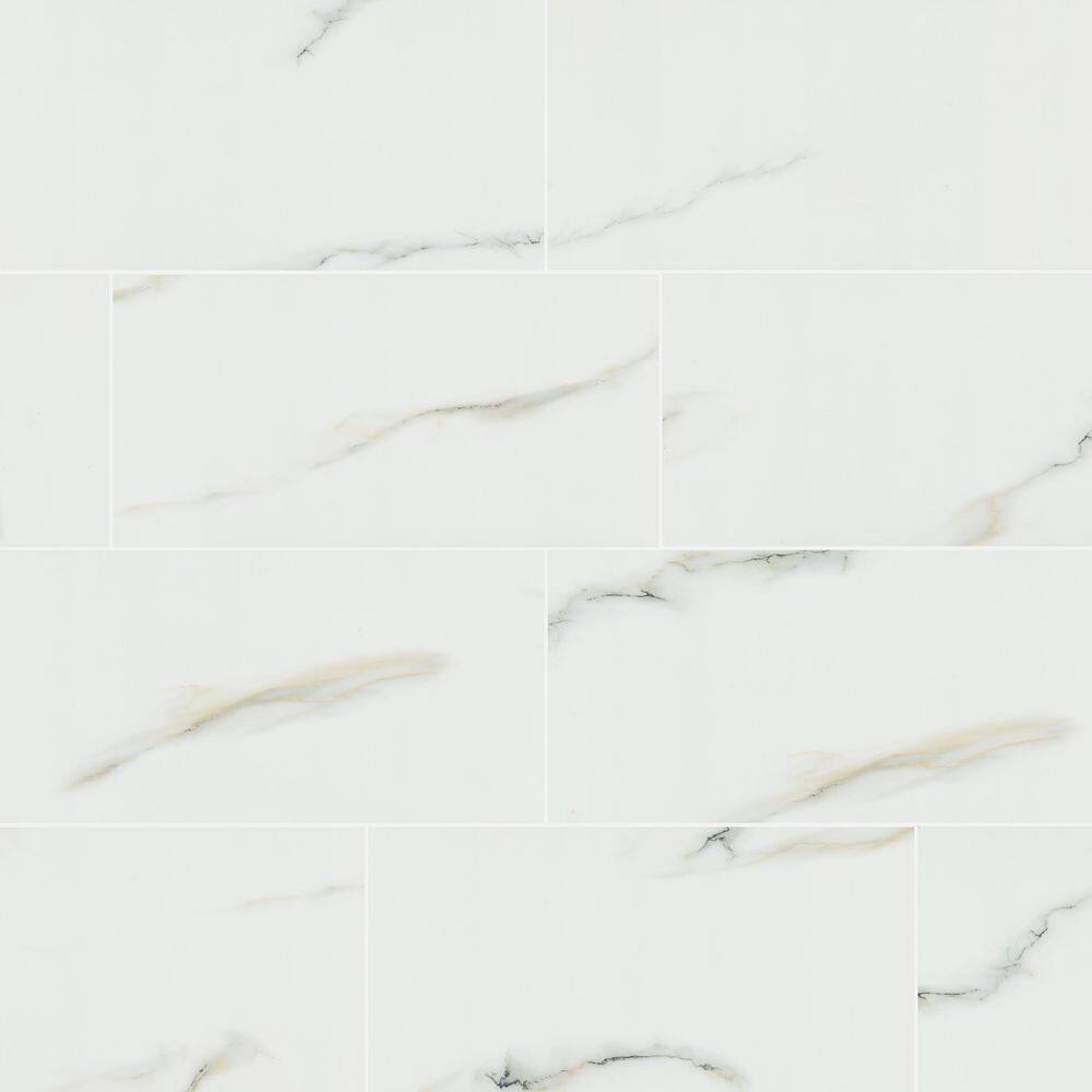 Aria Bianco 12 in. x 24 in. Polished Porcelain Floor and Wall Tile (16 sq. ft. / case) price history on PriceWatchPro