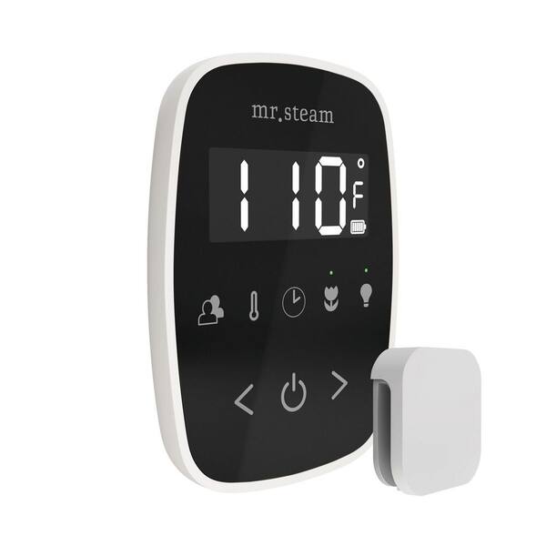 TempoFlex Steam Shower Control and Steamhead in Black White