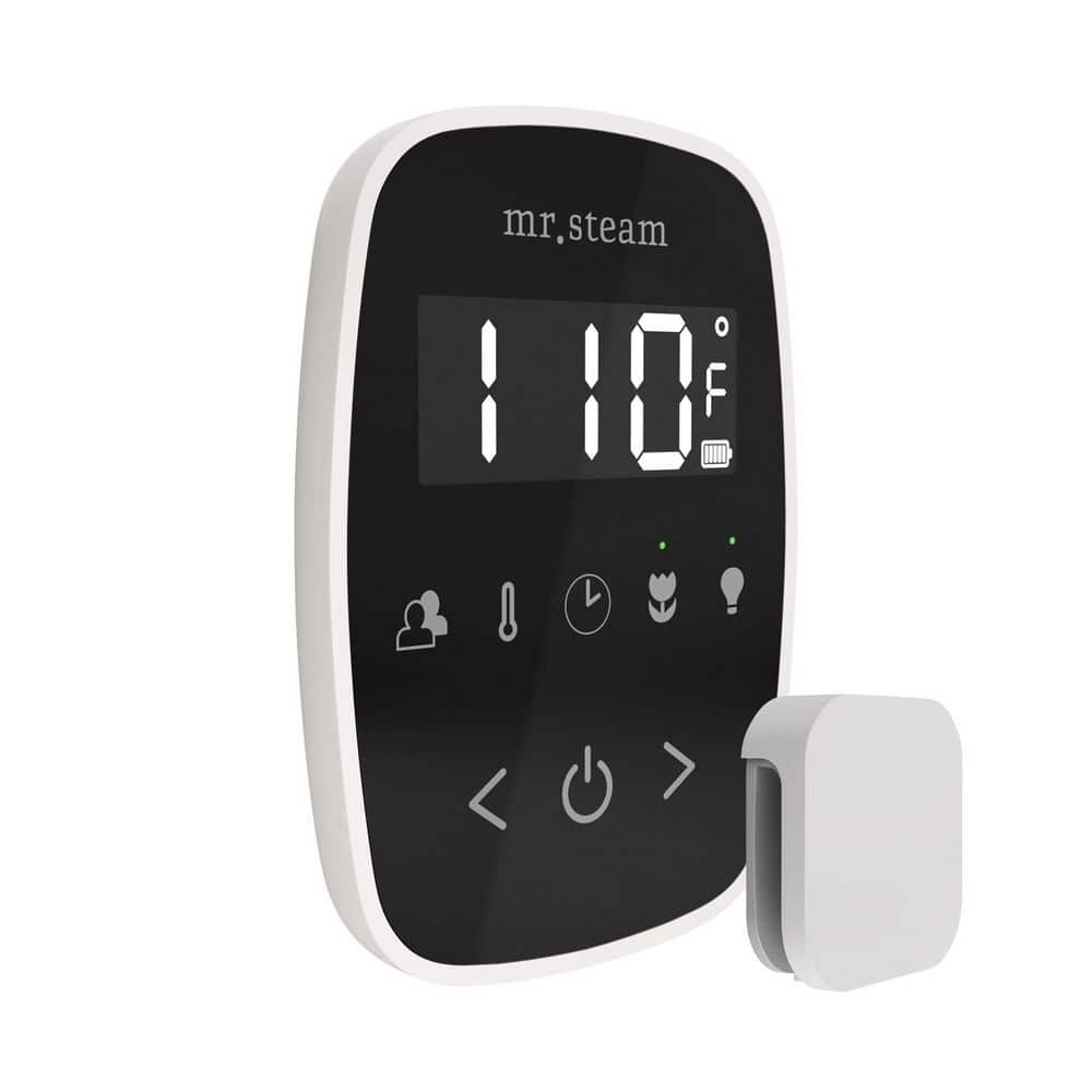 TempoFlex Steam Shower Control and Steamhead in Black White