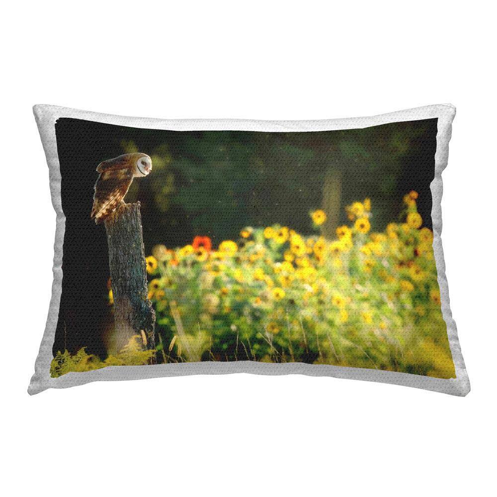 Owl Perched in Meadow Outdoor Printed Throw Pillow by Carrie Ann Grippo-Pike price history on PriceWatchPro