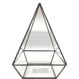 Geometric 5 in. x 8 in. Glass Pyramid Terrarium