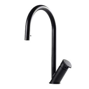 Oni Single-Handle Hidden Pull Down Sprayer Kitchen Faucet with CeraDox Technology in Matte Black