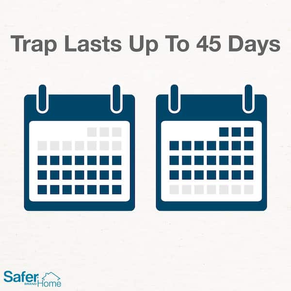 Safer® Home Indoor Fly Trap 1 Year Bundle