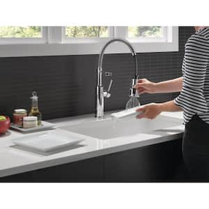 Theodora Single-Handle Pull-Down Sprayer Kitchen Faucet with Spring Spout and ShieldSpray in Chrome