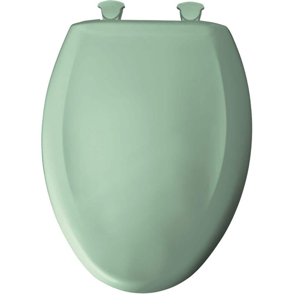 Desert Bloom Gloss Finish Elongated Plastic Toilet Seat with Soft Close Lid