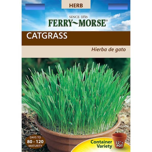 Ferry-Morse Catgrass, VNS Oats Seed-4194 - The Home Depot