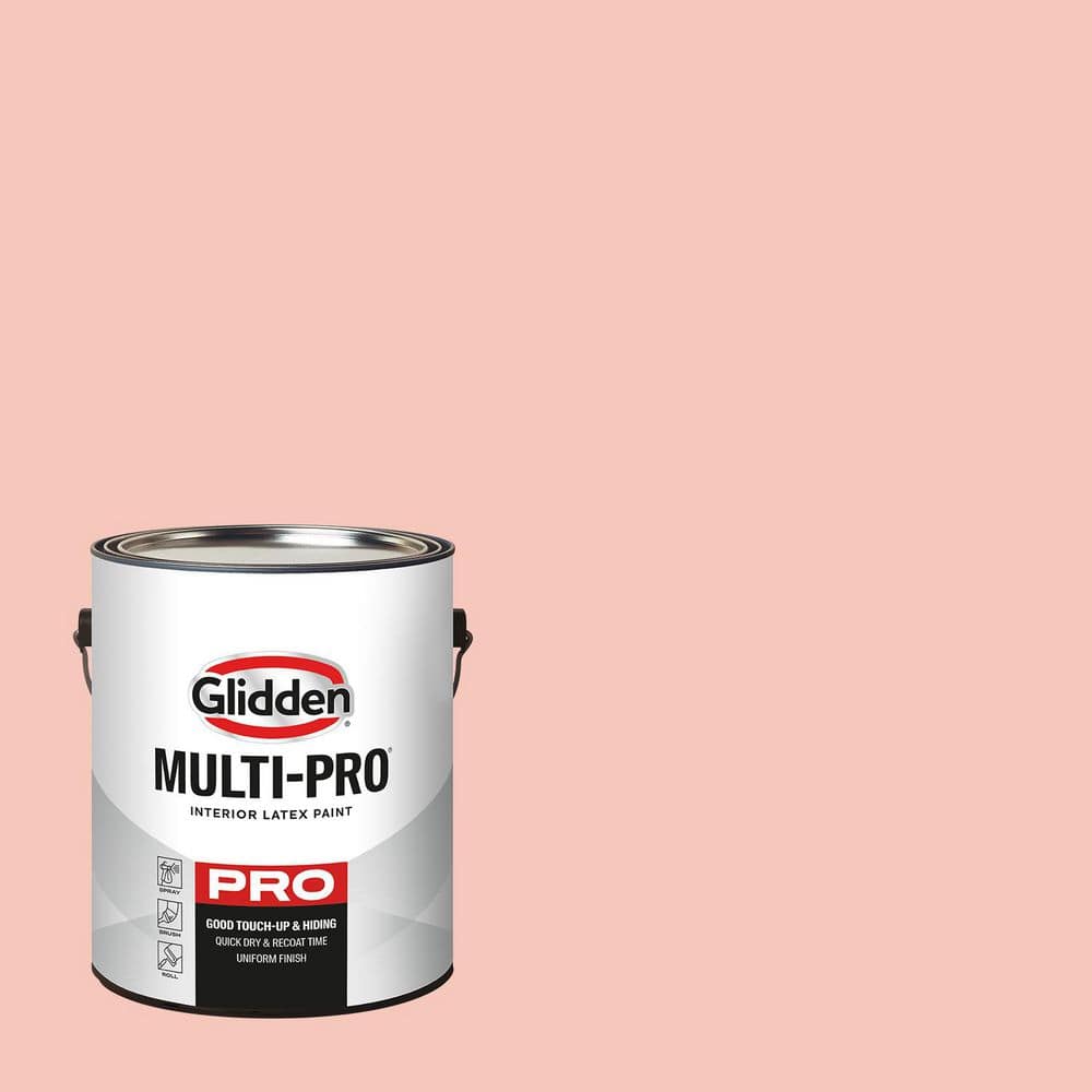 1 gal. PPG1193-4 Sweet Angel Eggshell Interior Paint price history on PriceWatchPro