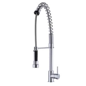 Celie Single-Handle Pull-Down Sprayer Kitchen Faucet with Spring Spout in Polished Chrome