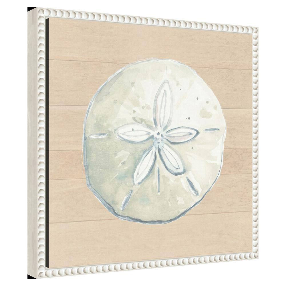 Beaded Frame Sand Dollar Print on Canvas Wall Art