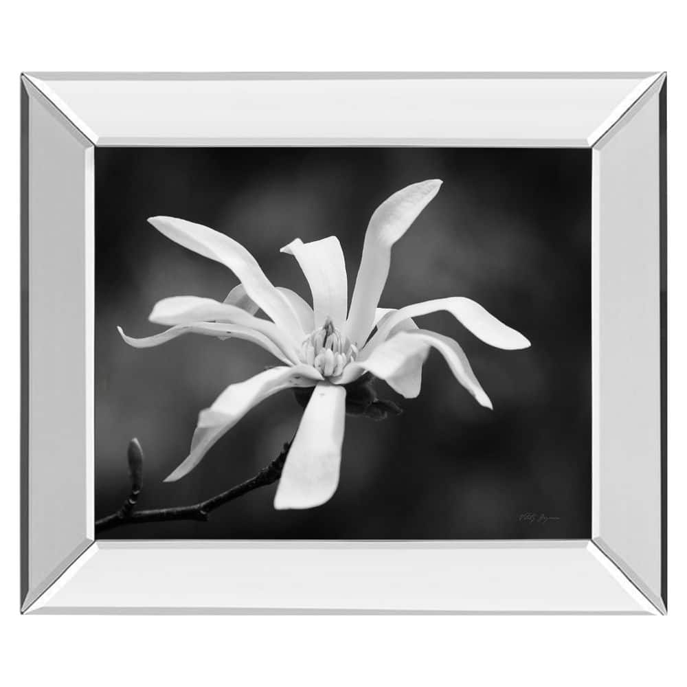 1 Piece Framed Graphic Print Nature Art Print 22 in. x 26 in. price history on PriceWatchPro