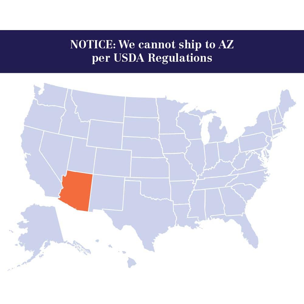 Arbequina Olive Tree in 3-Gallon Container