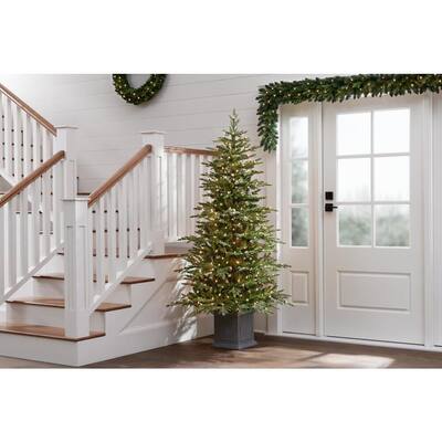 6.5 ft Winwood Grand Fir Potted Pre-Lit Artificial Christmas Tree with 300 Mini Warm White Lights
