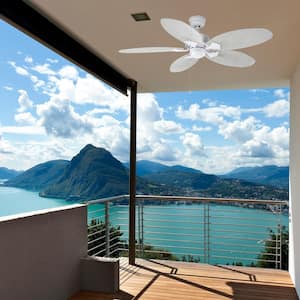 Lillycrest 52 in. Indoor/Outdoor Matte White Ceiling Fan with Downrod and Reversible Motor; Light Kit Adaptable