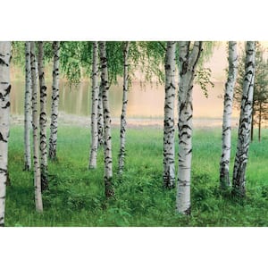 100 in. x 144 in. Nordic Forest Wall Mural