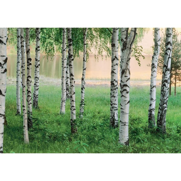 Ideal Decor 100 in. x 144 in. Nordic Forest Wall Mural